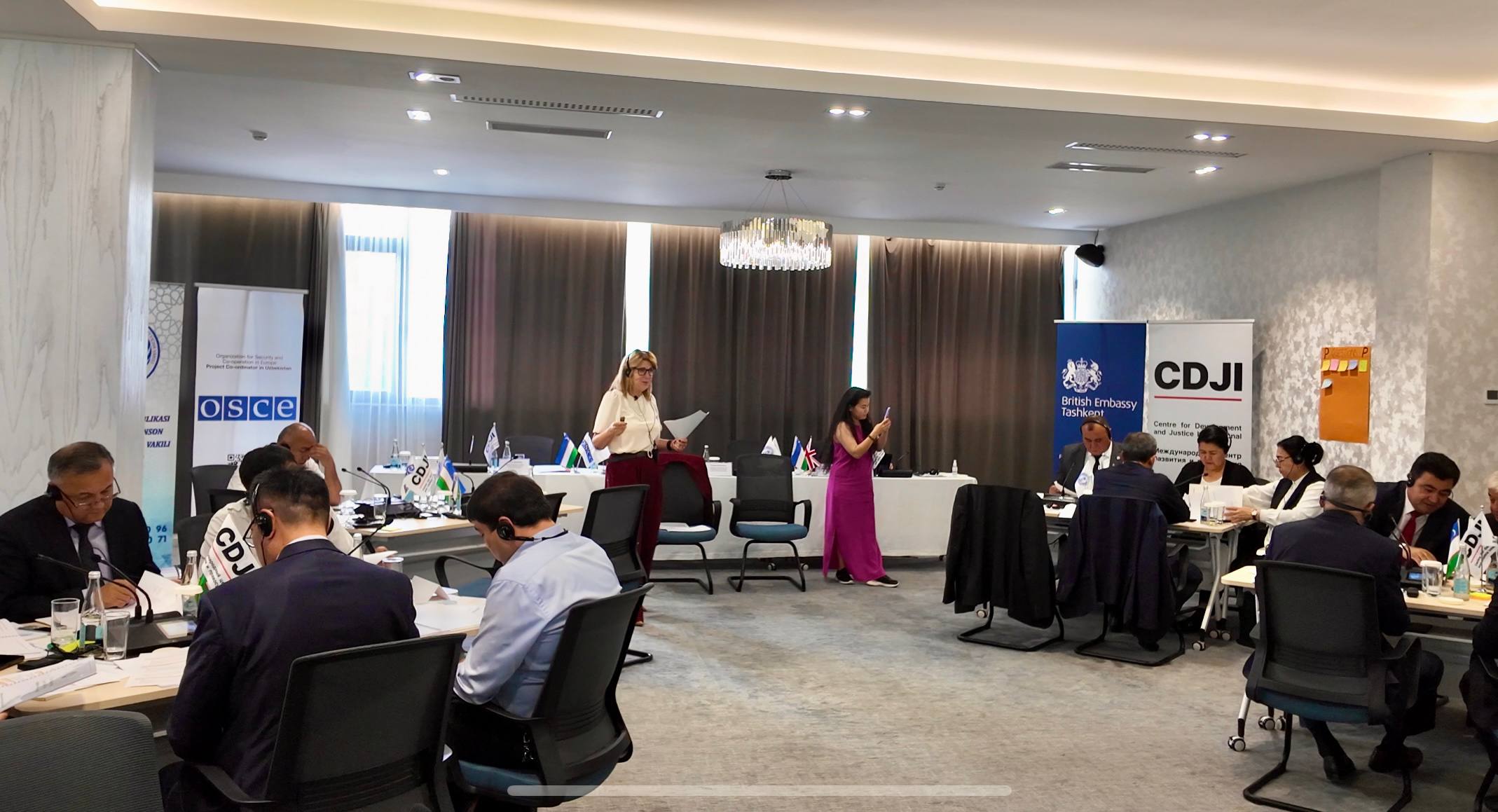 International experience on monitoring visits to penitentiary institutions studied