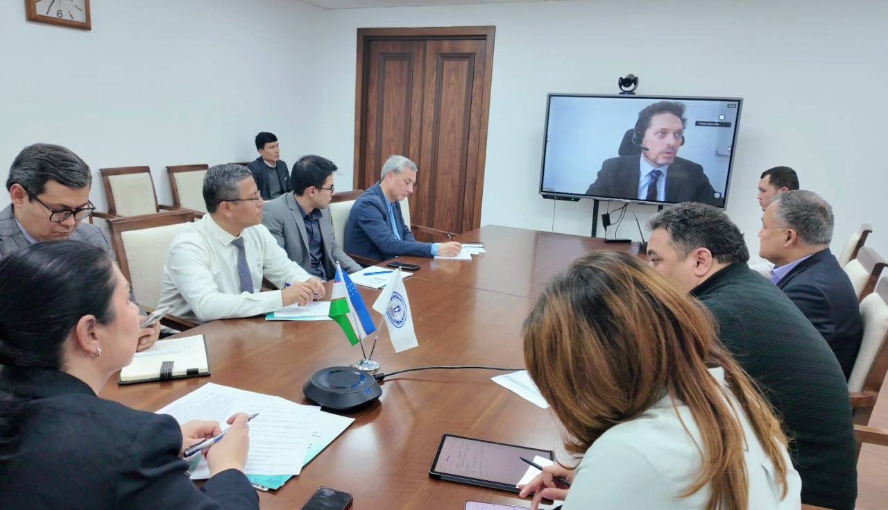 Ombudsman Holds Virtual Dialogue with UN Representatives on Obtaining “A” Status