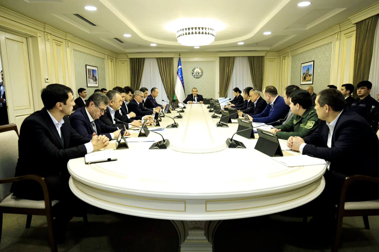 The Ombudsman’s 2025 Activity Report Reviewed at a Senate Committee Meeting