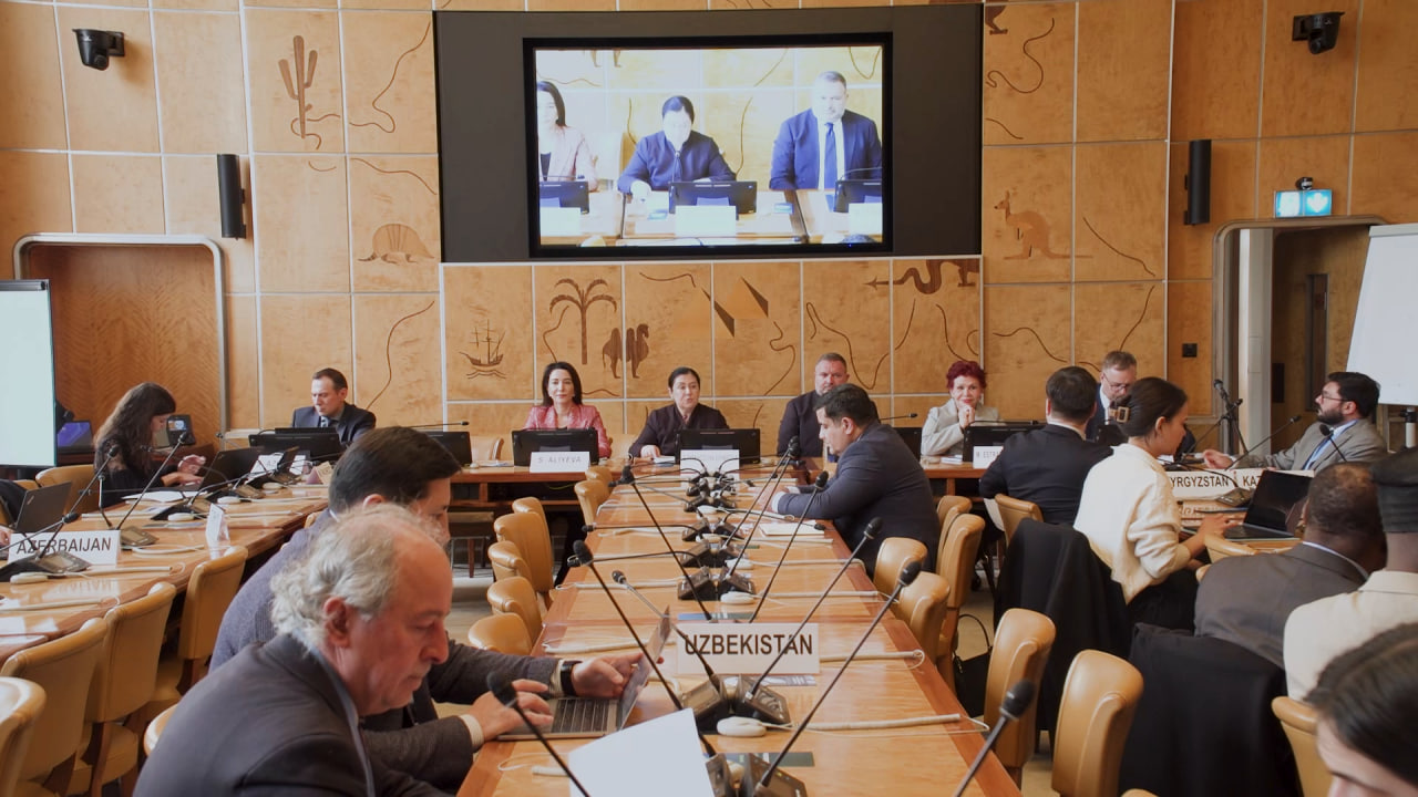 Side Event on Protecting Human Rights in the Digital Space Held in Geneva at the Initiative of Uzbekistan